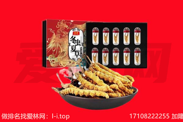 梧州市龙圩回收虫草.jpg